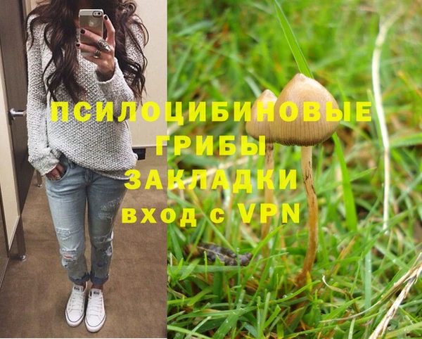 крисы Балахна